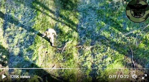 Irres Video! Russe ergibt sich ukrainischer Drohne! Putin fassungslos - lachen in Kiew!