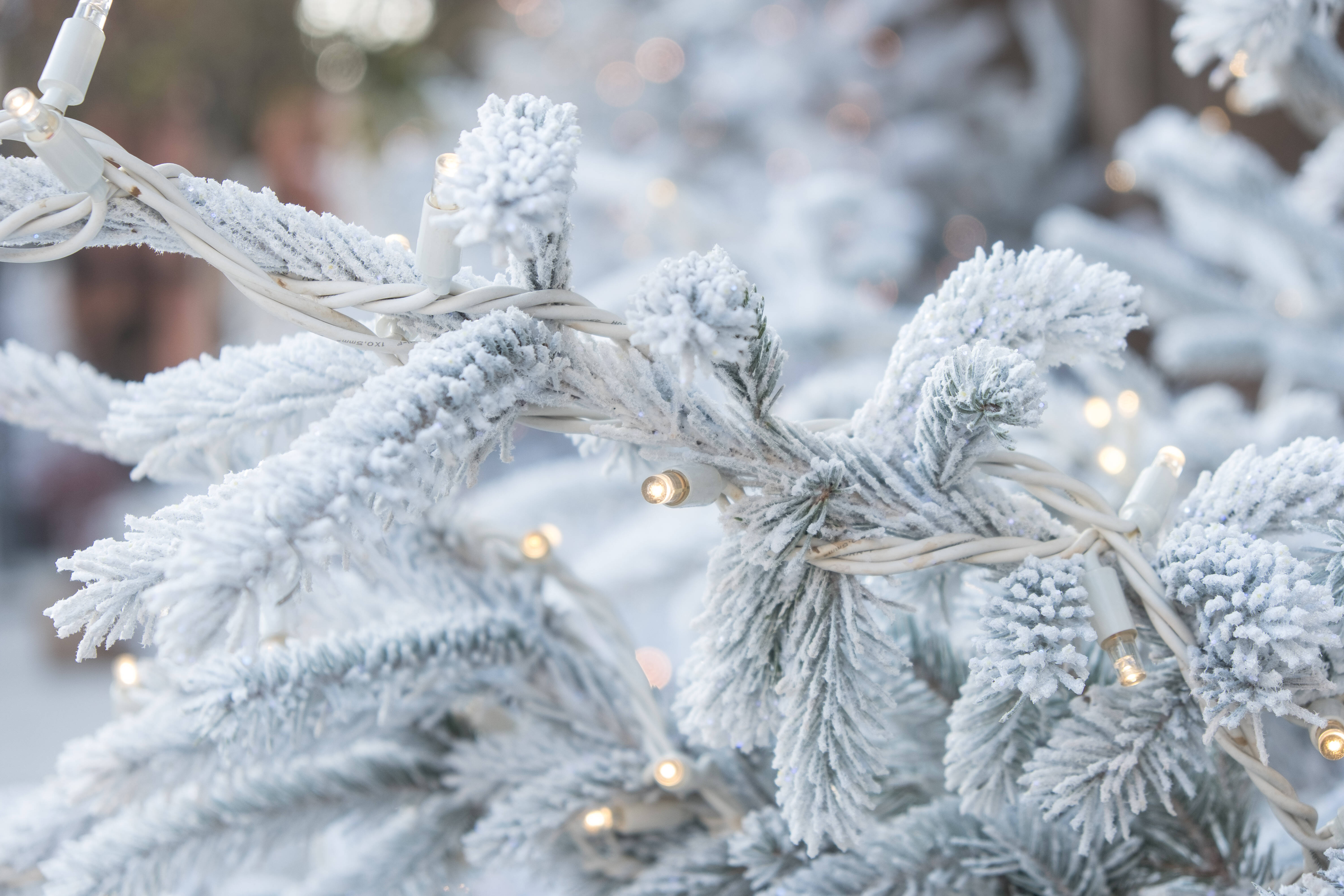 Schnee an Weihnachten? Meteorologen wagen langfristige Prognose für Weihnachtswetter - Hier könnte an den Festtagen Schnee liegen