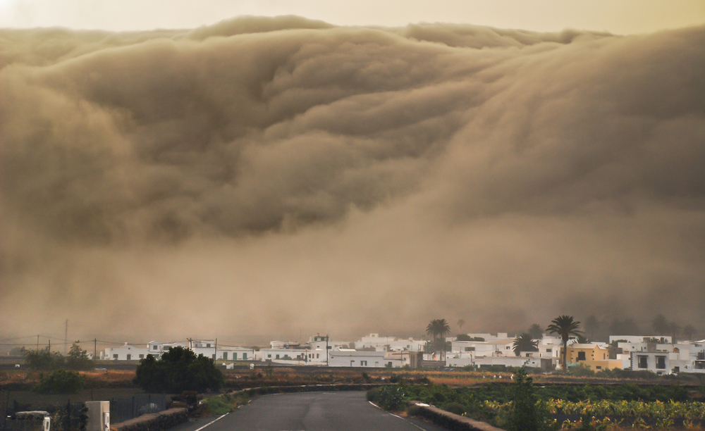 Massive Waves Drag Tourists into the Sea! Spanish Vacation Island Turns into Nightmare
